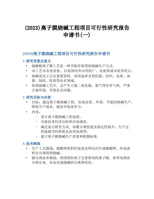 (2023)离子膜烧碱工程项目可行性研究报告申请书(一)