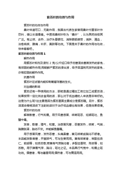 紫苏叶的功效与作用