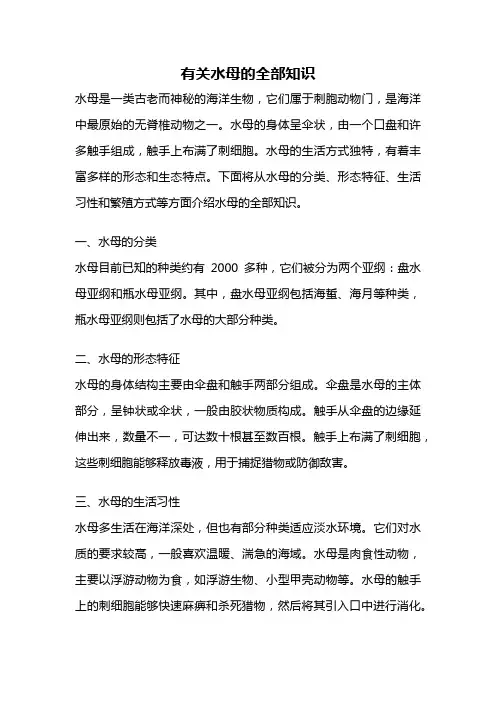 有关水母的全部知识
