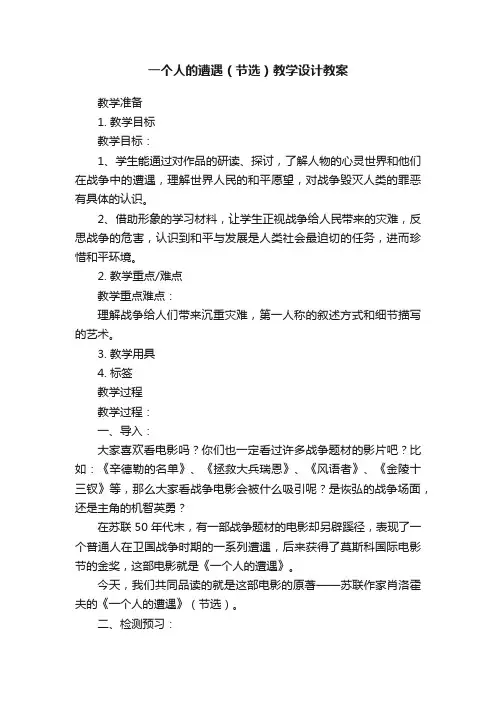 一个人的遭遇（节选）教学设计教案