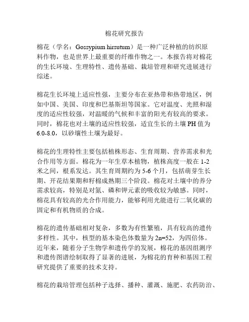 棉花研究报告