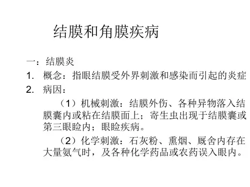 结膜和角膜疾病