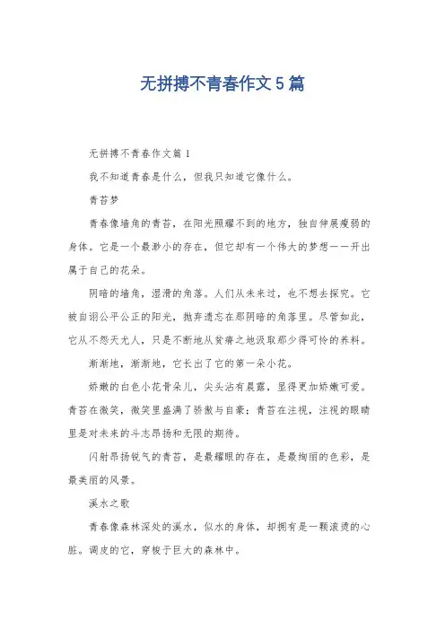 无拼搏不青春作文5篇