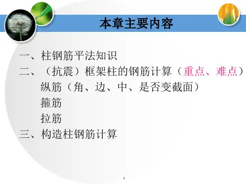 柱构造钢筋图
