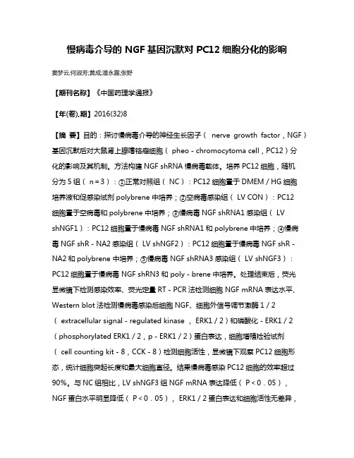 慢病毒介导的 NGF基因沉默对 PC12细胞分化的影响