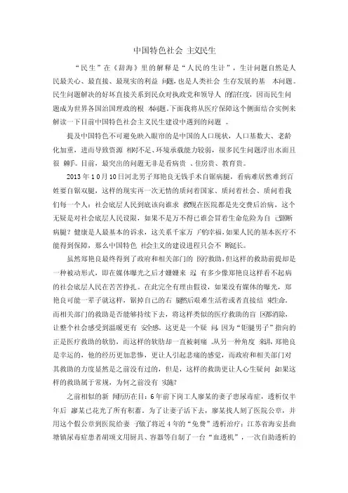 我眼中的中国特色社会主义