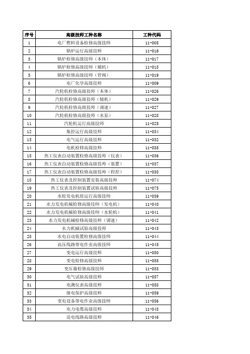 电厂技师高级技师工种目录表