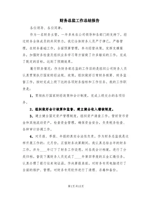 财务总监工作总结报告(6篇)