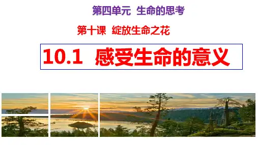 10.1 感受生命的意义 课件(22张PPT)-2023-2024学年统编版道德与法治七年级上册