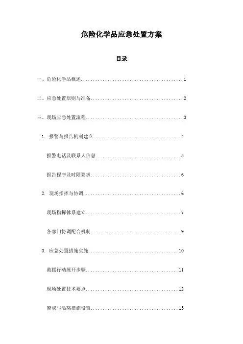 危险化学品应急处置方案