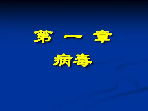 微生物学之病毒