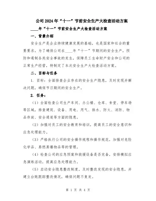 公司2024年“十一”节前安全生产大检查活动方案