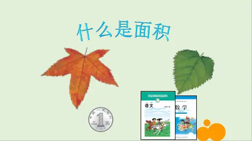 北师大版小学数学三年级下册《什么是面积》