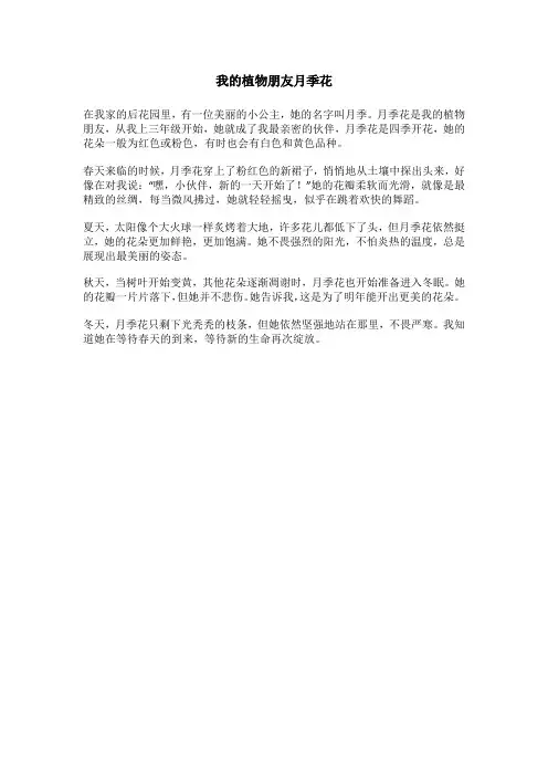 三年级我的植物朋友月季花作文