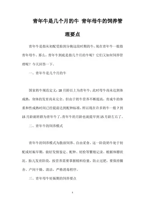 青年牛是几个月的牛青年母牛的饲养管理要点