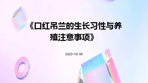 口红吊兰的生长习性与养殖注意事项