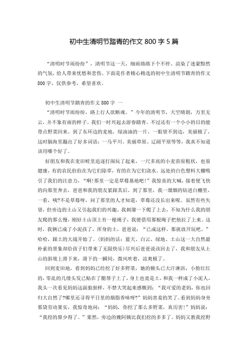 初中生清明节踏青的作文800字5篇