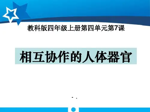《相互协作的人体器官》我们的身体PPT课件