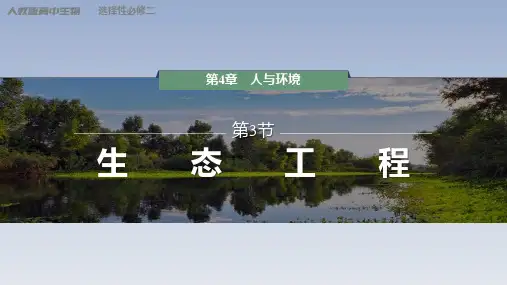 【课件】生态工程课件2022-2023学年高二上学期生物人教版选择性必修2