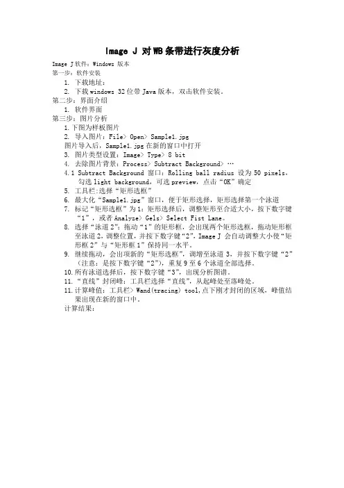 Image-J-对WB进行灰度分析