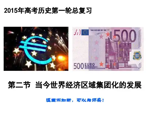 当今世界经济区域集团化趋势概述.