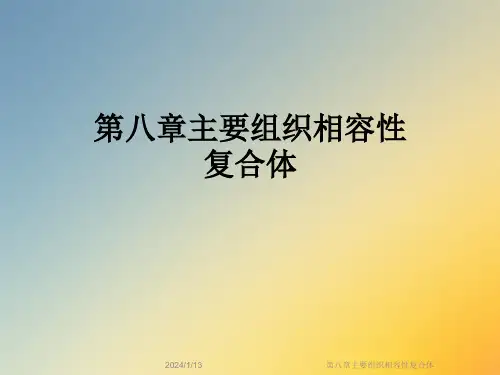 第八章主要组织相容性复合体