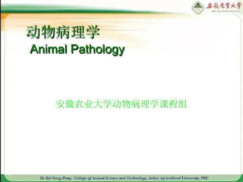 动物病理学概要  ppt课件