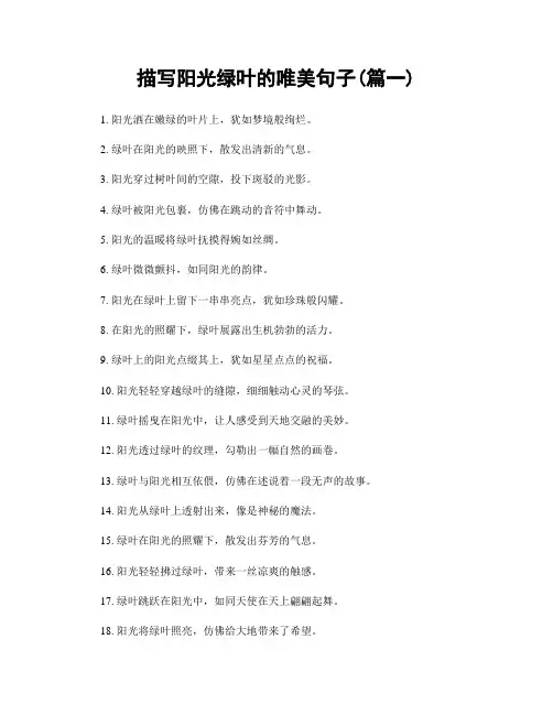 描写阳光绿叶的唯美句子(精选两篇)