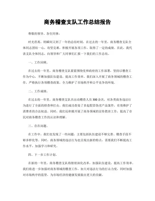 商务稽查支队工作总结报告