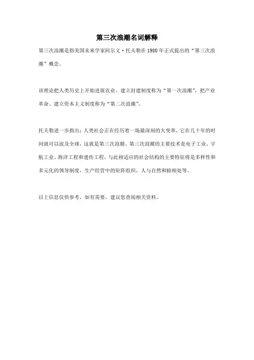第三次浪潮名词解释