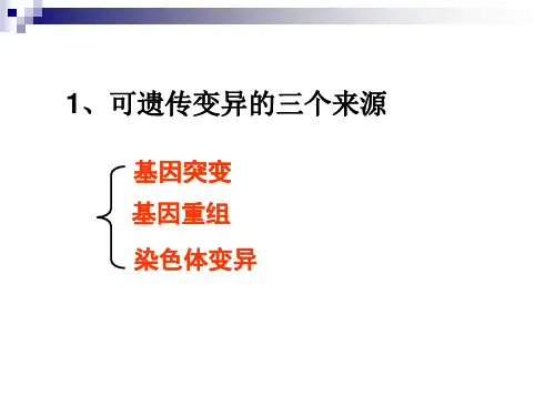 染色体变异共35张PPT