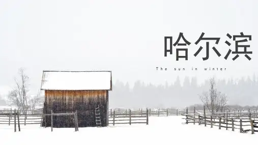 我的家乡哈尔滨(课堂PPT)