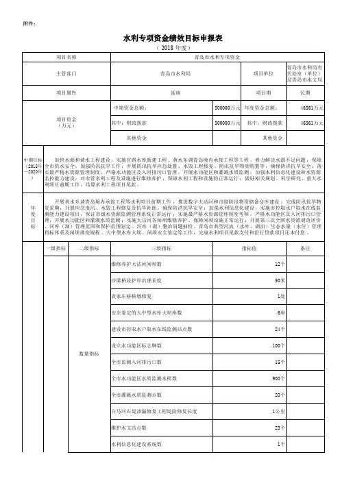 水利专项资金绩效目标申报表