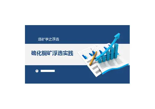 3.7硫化铜矿浮选实践