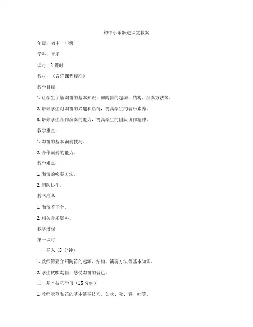 初中小乐器进课堂教案