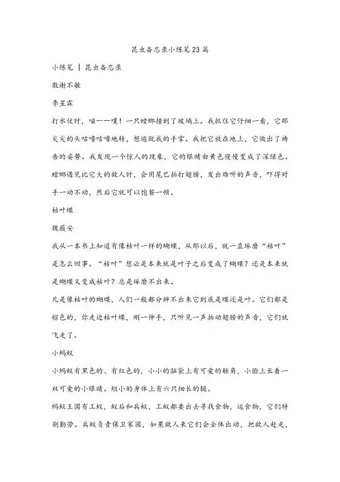 昆虫备忘录小练笔23篇