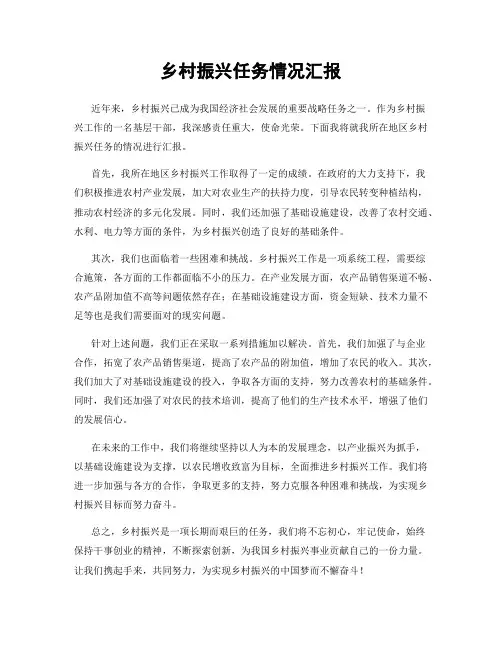 乡村振兴任务情况汇报