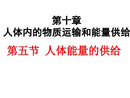 苏教版七年级生物下册第4单元第十章第五节 人体能量的供给(21张PPT)