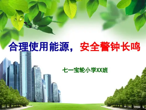 合理使用能源安全警钟长鸣培训课件PPT课件(ppt52页)