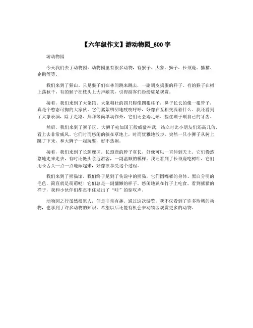 【六年级作文】游动物园_600字