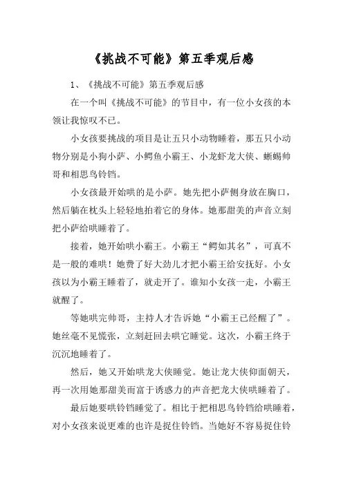《挑战不可能》第五季观后感