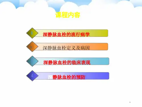 骨科术后预防深静脉血栓的护理措施课件
