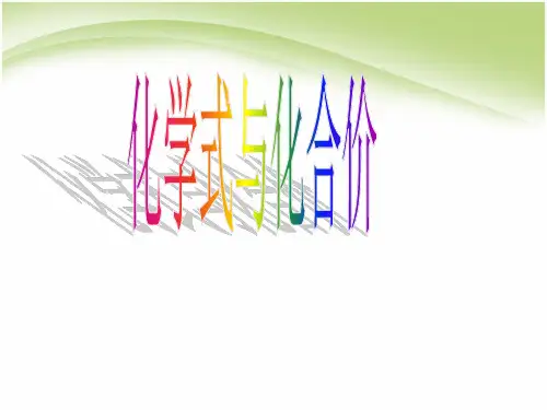化学式与化合价课件PPT