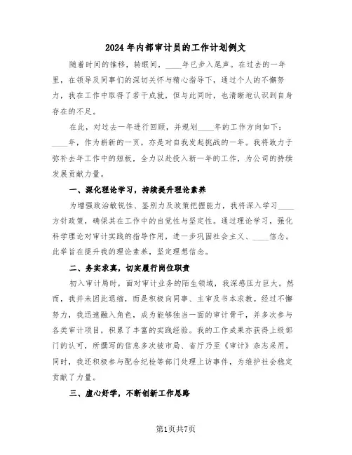2024年内部审计员的工作计划例文（五篇）