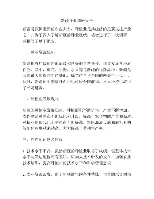 新疆种业调研报告