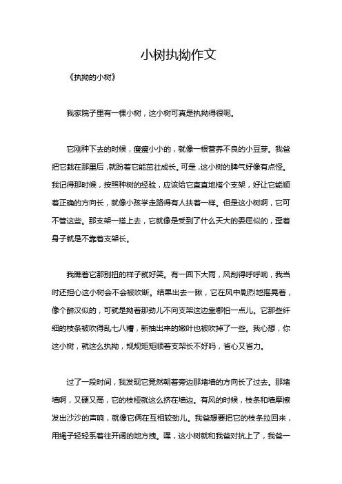 小树执拗作文