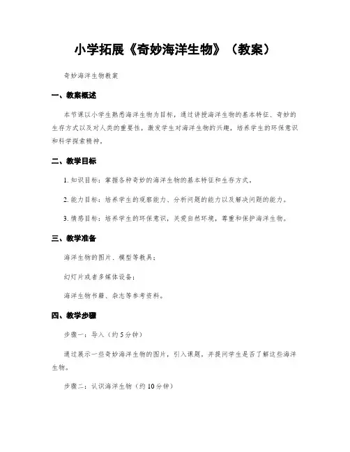 小学拓展《奇妙海洋生物》(教案)