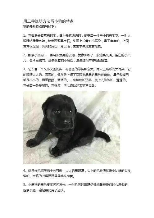 用三种说明方法写小狗的特点