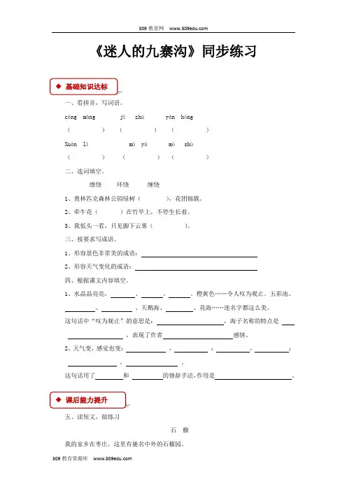 【309教育网优选】西南师大版小学语文四年级下册《迷人的九寨沟》同步练习
