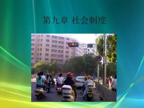 社会学 第九章 社会制度